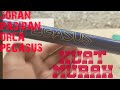 Review Joran PASIRAN ORCA PEGASUS 4,2m