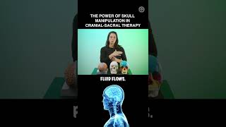 The Power of Skull Manipulation in Cranial Sacral Therapy