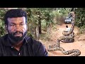 I Never Knew I Married A Snake For A Wife Now She's Out To Destroy My Life - A Nigerian Movies