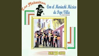 14 mananitas mexicanas
