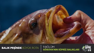 Balık Peşinde Büyük Rota - 9. Bölüm GÖKOVA'NIN SÜRPRİZ BALIKLARI