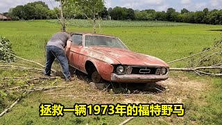 拯救一辆1973年的福特野马 | 汽车改装世界