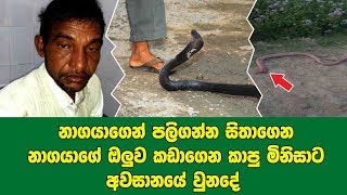 නාගයාගෙන් පලිගන්න සිතාගෙන නාගයාගේ ඔලුව කඩාගෙන කාපු මිනිසාට අවසානයේ වුනදේ