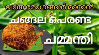 ഈ ഒരു ചമ്മന്തി മതി നിങ്ങളുടെ പകുതി അസുഖങ്ങൾക്കും മരുന്നാണ്.