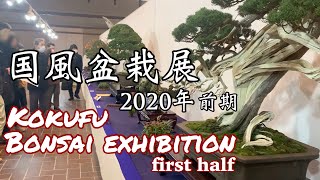 第94回国風盆栽展(前期)/Kokufu Bonsai Exhibition