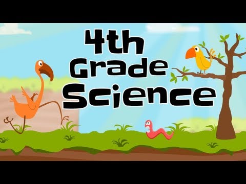 4th Grade Science Compilation | Science Grade 4 Pdfข้อมูลล่าสุดที่ ...