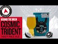 Cosmic Trident Hazy Pale Ale | Behind the Brew