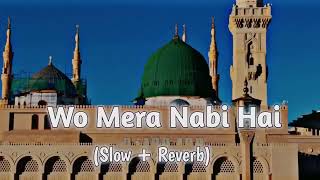 Wo Mera Nabi Hai (Slow+Reverb Naat) | Syed Hassan Ullah Hussani | Lofi Naat 2024