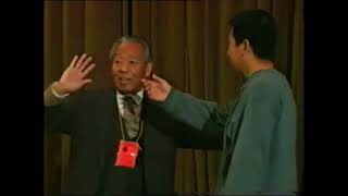 1995년 제2회세계태극수련대회 왕배생(王培生) 추수, GM Wang peisheng Pushing hands