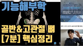 4-1. [3D해부학 어플] 골반,고관절 뼈 핵심정리 [7분 요약] | 기능해부학 및 촉진기법 |힐링무브 |essential anatomy