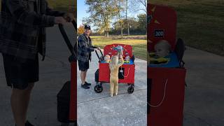 The Perfect Triplet Costume! 🎃 #triplets #diy #dad #mom #cute