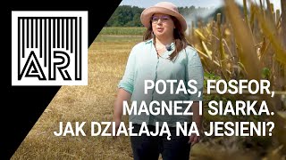 Potas, fosfor, magnez i siarka. Jak działają na jesieni? || AR #125