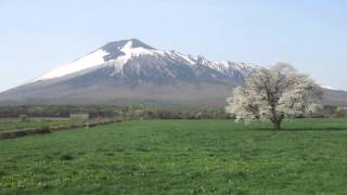 2015 5 2八幡平市　上坊牧野の一本桜