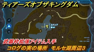 ティアキン　コログの実の場所　モルセ湖周辺３　武器枠拡張アイテム入手　＃１１７７　【ゼルダの伝説ティアーズオブザキングダム】