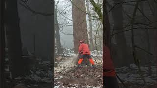 Dangerous Fastest Idiots Cutting Tree Fails Skill With Chainsaw