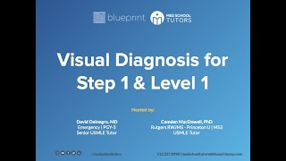 Visual Diagnosis Webinar for Step 1/Level 1