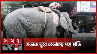 সিলেটে হাতি দিয়ে অভিনব কায়দায় টাকা তোলা | Sylhet | Elephant Walking on Road | Somoy National