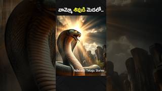 వామ్మో శివుడి మెడలో..Lord Shiva Telugu Mystery stories. #adishaktitelugustories #shiva #telugu #god