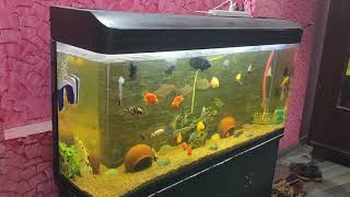 5 feet molded aquarium in delhi ncr for sale