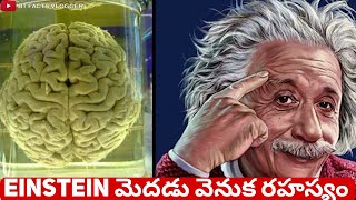 Einstein మెదడు వెనుక రహస్యం | How Albert Einstein's Brain was different from other Human beings?