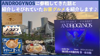 ANDROGYNOSに参戦してきた話と、紹介しそびれていたお家グルメを紹介します。