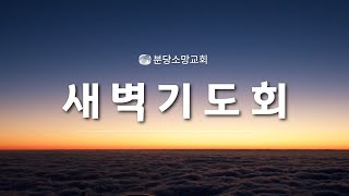 [새벽기도회] 여호수아 15:20-63 | 2025.01.24 | 공민지 전도사