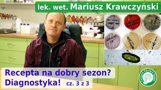 Gołąb przed szczepieniem MUSI BYĆ ZDROWY! Specjalista chorób ptaków lek. wet. M. Krawczyński cz. 3