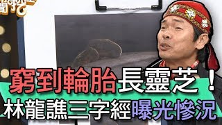 【精華版】林龍大譙三字經！曝光慘況窮到輪胎長靈芝！