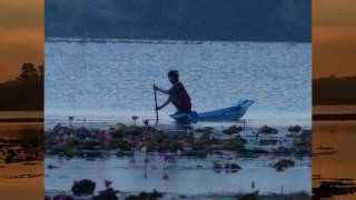 Fishermen in a rural lake / Rattanaburi , Surin , Province