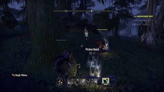 Woodworker Survey: Shadowfen Location ESO