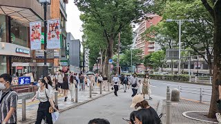 【ライブカメラ】原宿表参道　定点カメラ　Harajyuku Fixed point camera【live camera