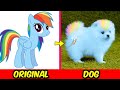 My Little Pony Becomes Dog 😱 MLP If Were Dog