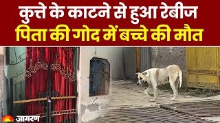 Dog Attack in Ghaziabad: कुत्ते के काटने से मासूम को हुआ Rabies, पिता की गोद में बच्चे की मौत