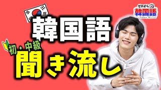 【韓国語聞き流し】ネィティブのリアル韓国語聞き流しフレーズ ～ 解説URL付き ～（韓国語リスニング、 韓国語初級）