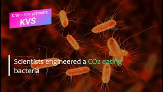 Scientists engineered an E. Coli bacteria to eat CO2 | #KVS