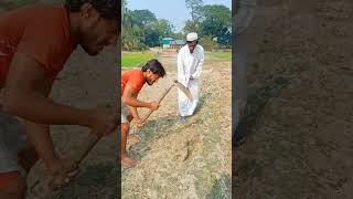 হুজুরে কি দেখায়sorts #shortsvideo #youtubeshorts #funnycomedy #agriculture