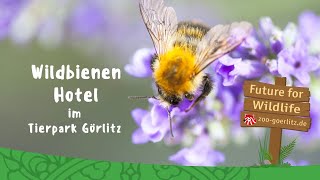 Wildbienen Hotel April 2020