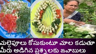 మల్లె పువ్వులు కోసుకుంటూ//మల్లె పువ్వులు మాల కడుతూ//మీరు అడిగిన ప్రశ్నలకు జవాబులు.