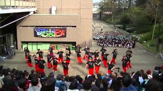 2013学祭外学　HOUSE