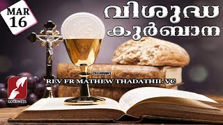 HOLY MASS LIVE @ 6 AM, 16 MAR 2024|FR MATHEW THADATHIL VC|MALAYALAM QURBANA|TODAY MASS|GOODNESS TV