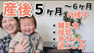 離乳食デビュー！助産師 梅ちゃん 産後５ヶ月〜６ヶ月の状況♪