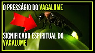 o presságio do VAGALUME - SIGNIFICADO ESPIRITUAL DO VAGALUME