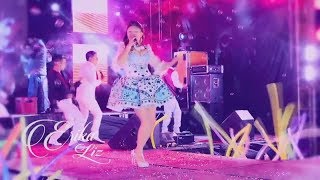 ERIKA LIZ - MIL PROBLEMAS - PRIMICIA 2019 - REQUINTO PERUANO