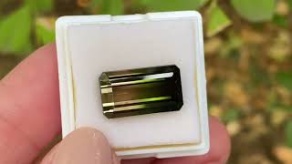 Turmalina Bicolor 8.81ct | 15.33x8.877mm