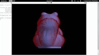 Squirrel - Implicit Surface Reconstruction