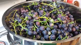 Canning grape juice in a steam canner.