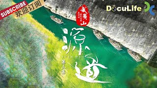 《武夷山·我们的国家公园》在武夷山这片绿得丰茂深邃的汪洋中 有一种绿叶具有改变世界的力量——茶！第三集【Doculife-SMG纪实人文官方频道】