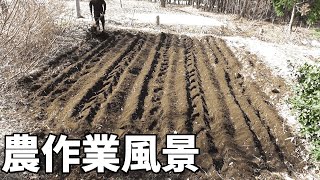 米ぬか散布して耕す＋α【農作業風景】