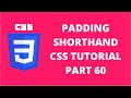 Padding Shorthand Property CSS | CSS Tutorial Part 60
