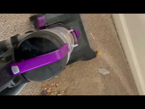 Vacuuming Asmr Videos All Youtube